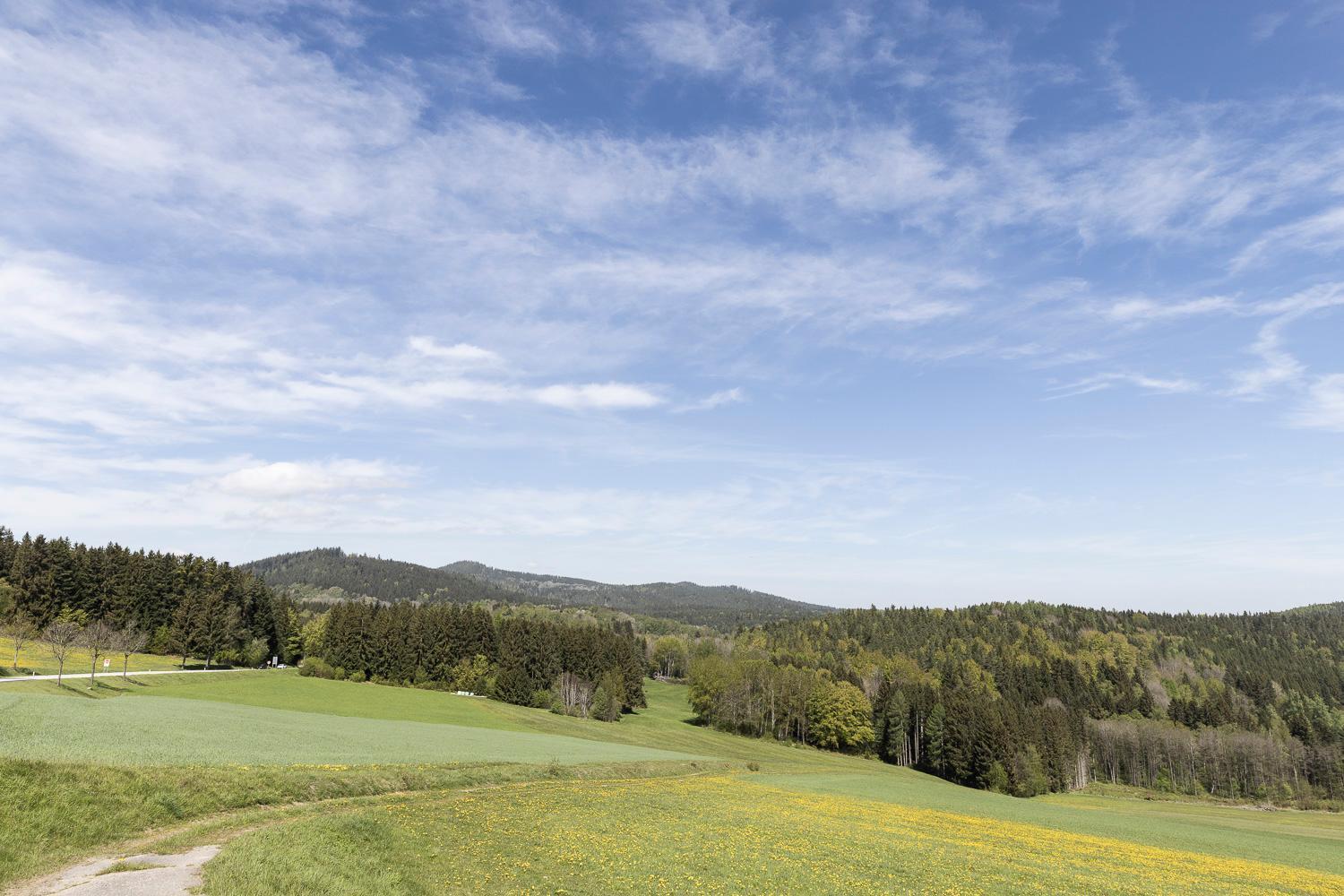 Apartman Manuel Horní Planá Esterno foto